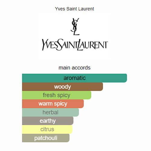 Yves Saint Laurent Y Eau de Parfum Intense 100ml