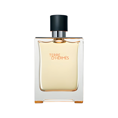 Hermès Terre d'Hermès Eau de Toilette 100ml