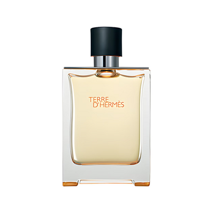 Hermès Terre d'Hermès Eau de Toilette 100ml