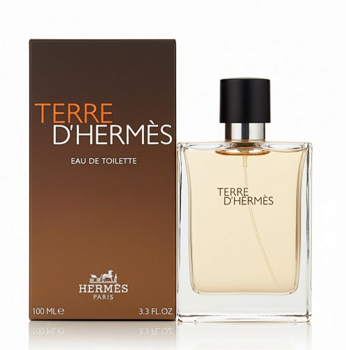 Hermès Terre d'Hermès Eau de Toilette 100ml
