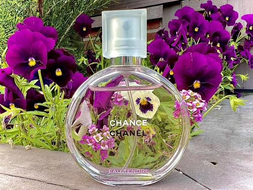 Chanel Chance Eau Tendre Eau de Toilette 100ml