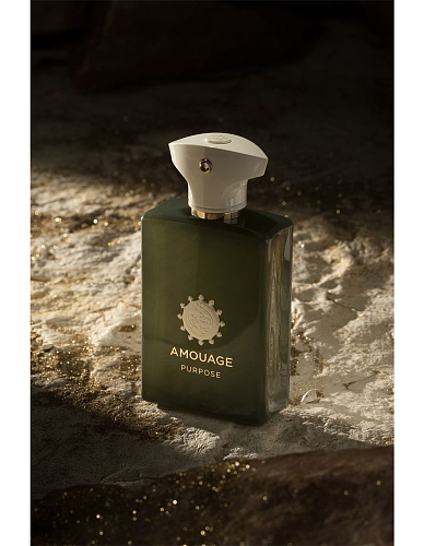 Amouage Purpose Eau de Parfum 100ml